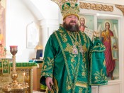 Епископ Талдыкорганский Нектарий